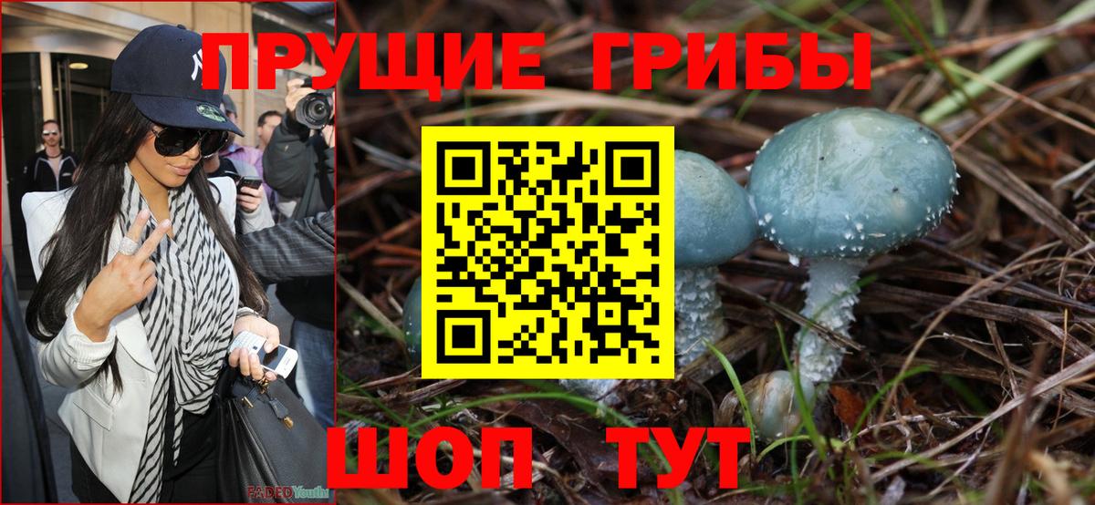 Бийск  Галлюциногенные грибы Magic Shrooms  Вход с VPN  Псилоцибиновые грибы MAGIC MUSHROOMS 